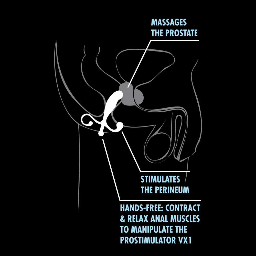 Blush Performance Black Prostimulator VX1