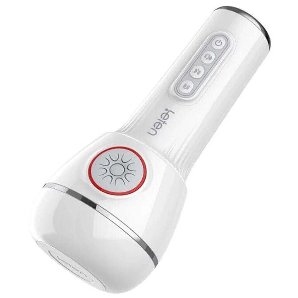 LETEN Sucking & Vibrating V4 AUTO 3D Male Masturbator Pocket Pussy Sex Toy